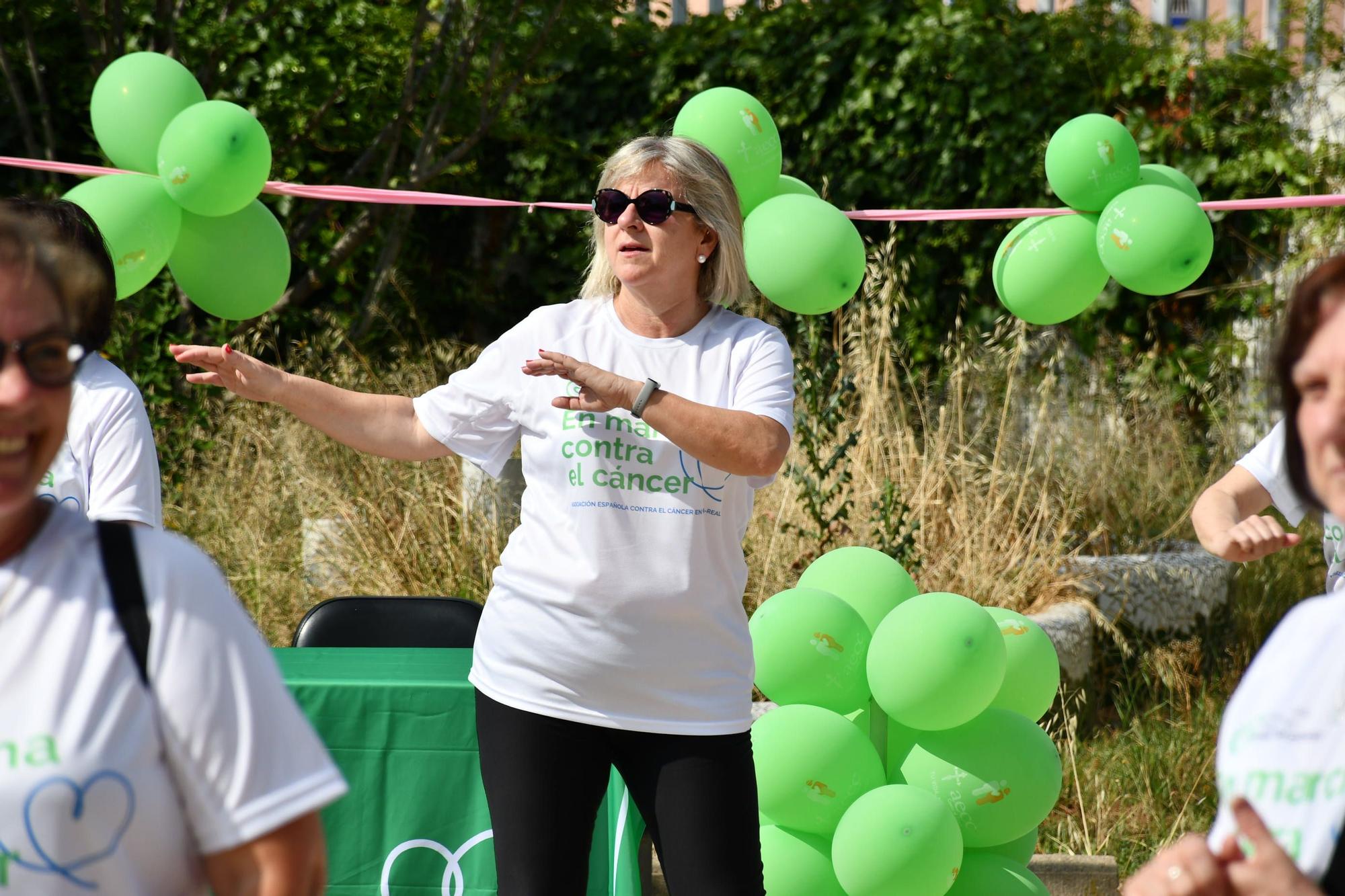 Todas las fotos de la marcha contra el cáncer de Vila-real