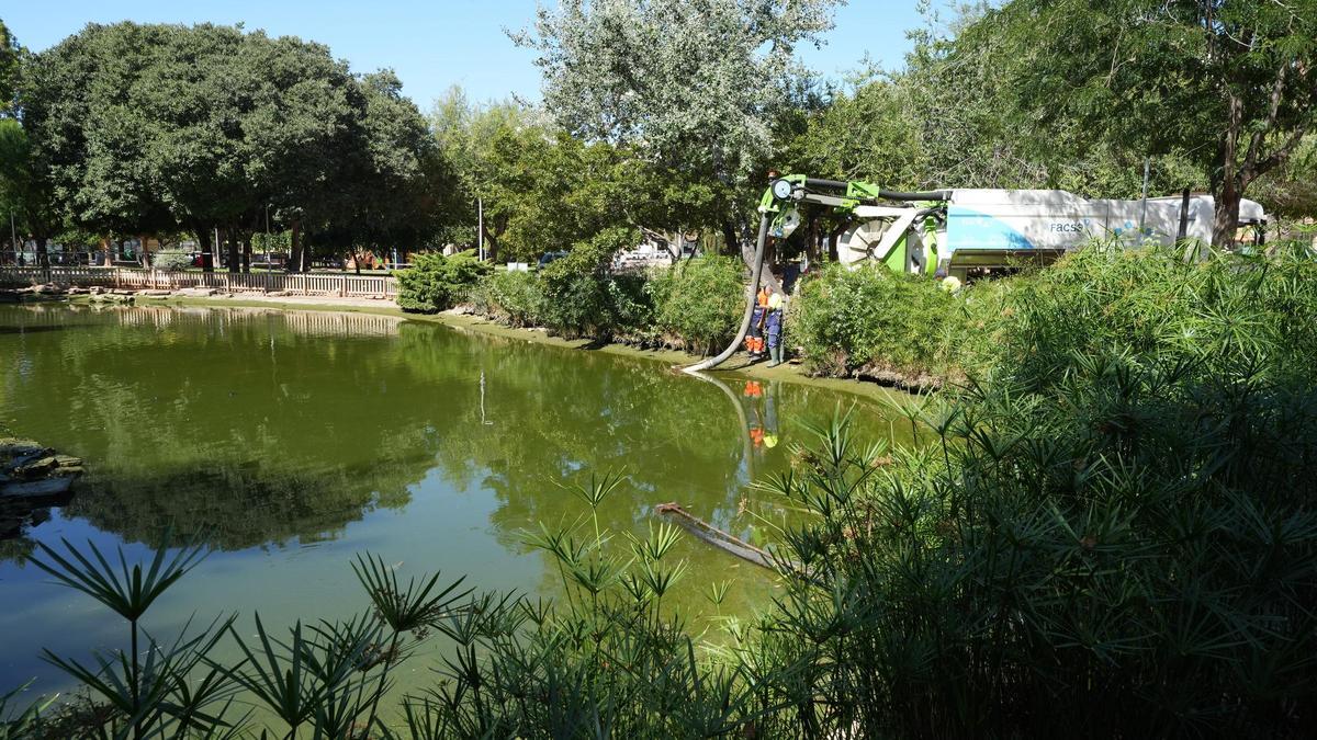 Limpieza del estanque del parque Geólogo Royo de Castelló.