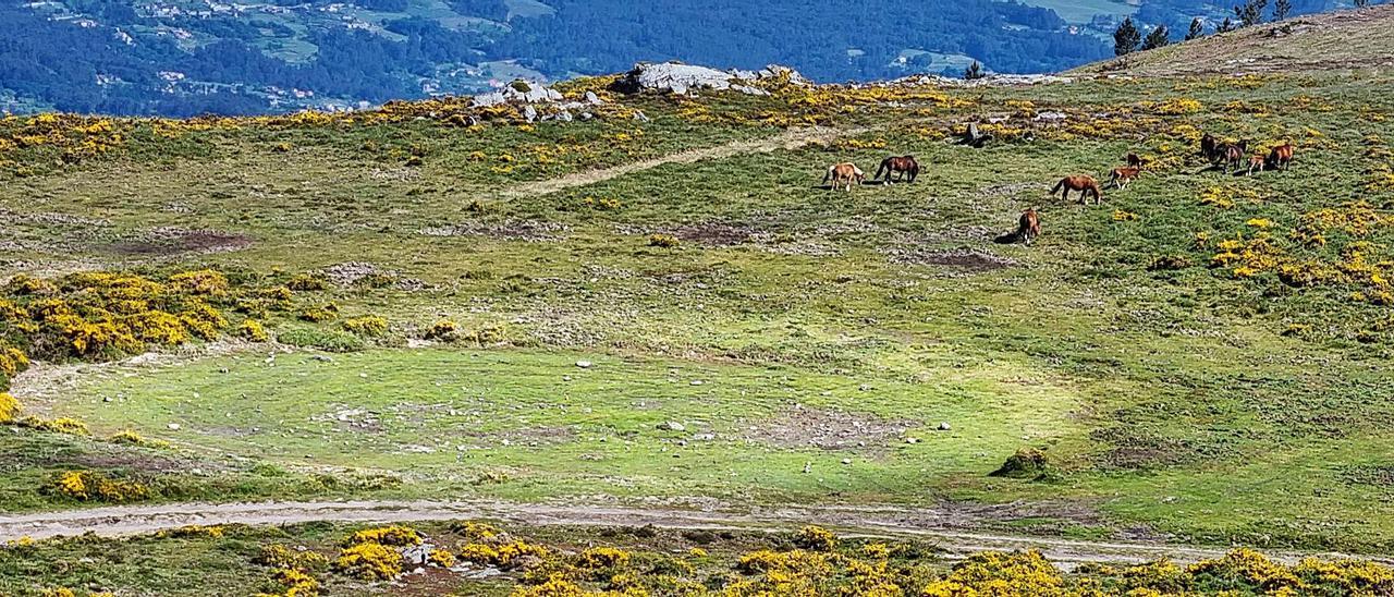 El círculo de 110 metros de diámetro que se aprecia en la foto es la zona del cráter ocasionado por la supuesta  caída del meteorito hace miles de años.