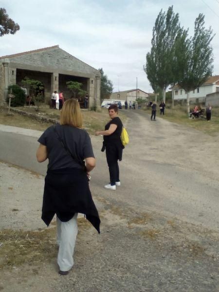 Romería de San Albín en Fermoselle