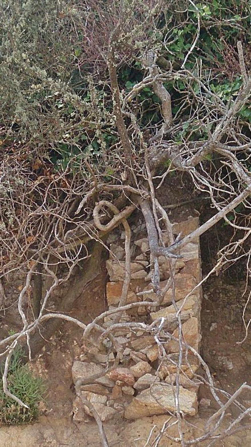 Restos del muro romano de la salazón en Canexol, en Ons. | // UVIGO