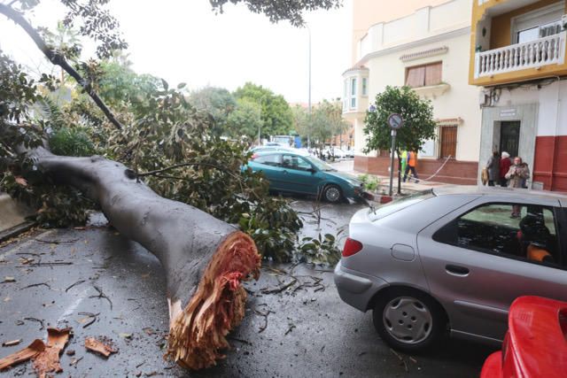 Las incidencias de la borrasca Ana en Málaga