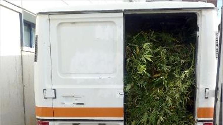 Dins la furgoneta hi van localitzar 200 quilos en plantes de marihuana i un cartutx.