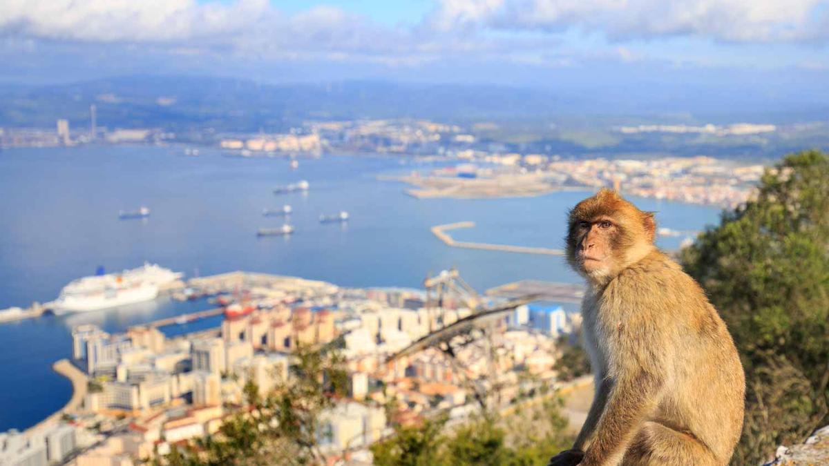 Gibraltar estrena un mirador 360°