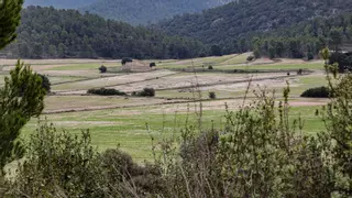 La Fiscalía abre una investigación por la planta solar proyectada entre la Font Roja y Mariola