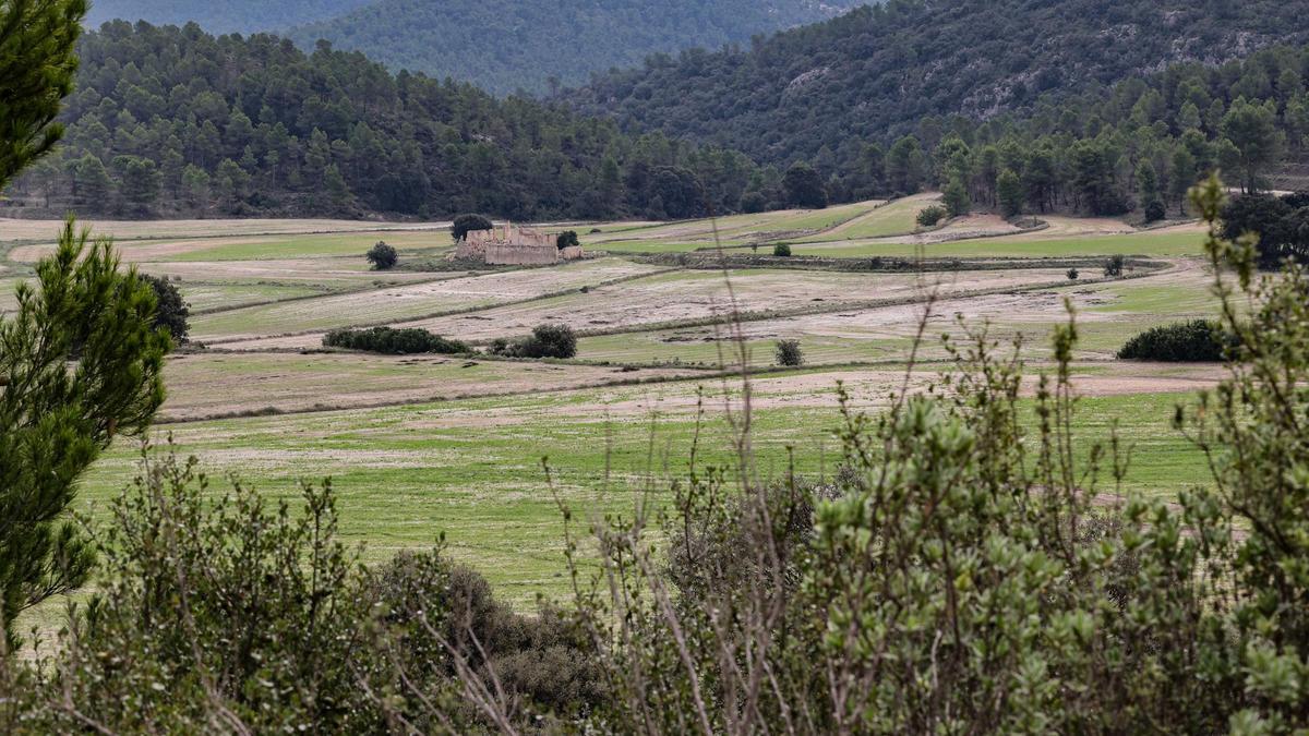 La polémica planta solar entre la Font Roja y Mariola sigue adelante