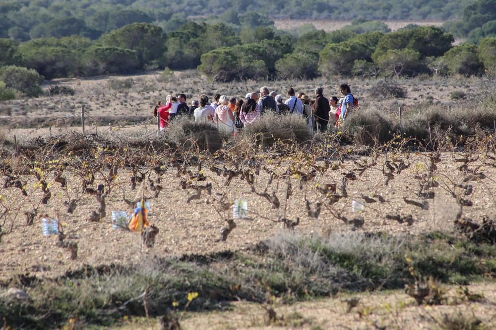 Ruta ecoturistica por el parque natural de La Mata