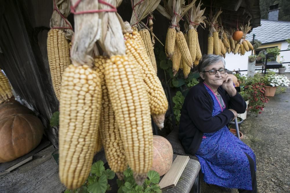 Los concejos del occidente de Asturias, considerados como los más saludables