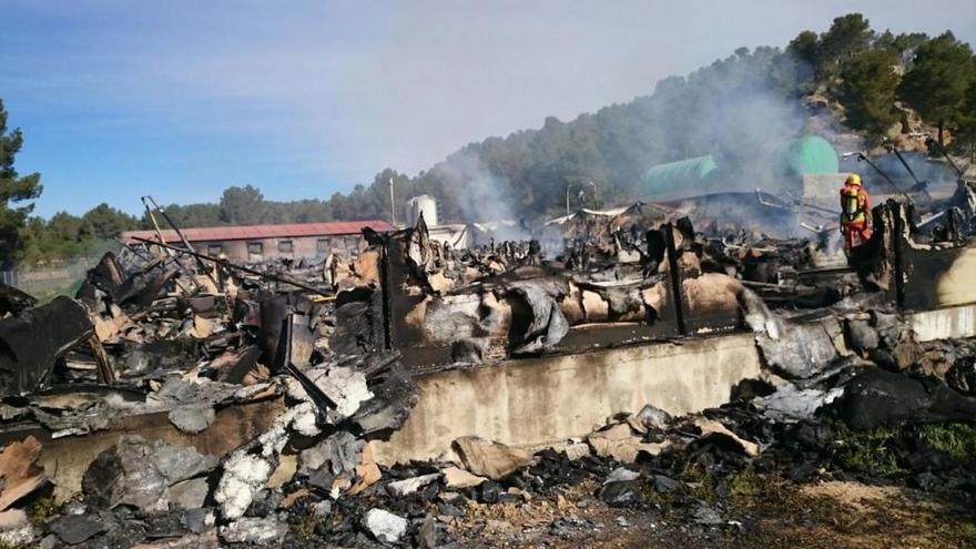 Mueren 9.000 cerdos calcinados en una granja de Venta del Moro