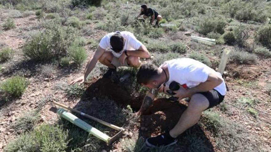 Voluntarios repoblando ayer las zonas degradadas del Clot.