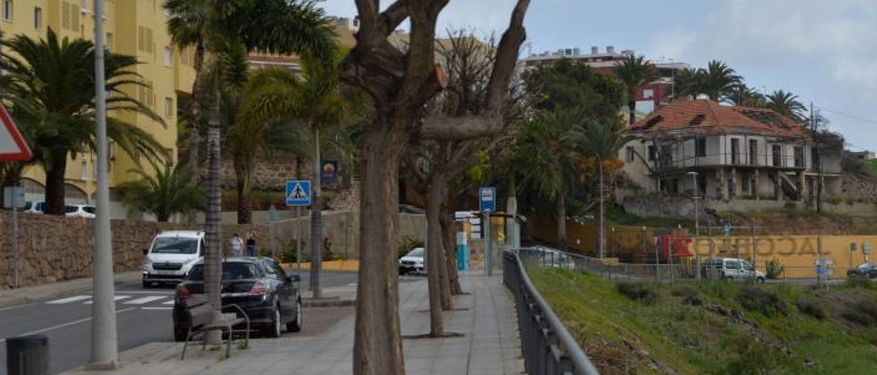 Al fondo, acceso a la calle Delgado desde el Paseo de Los Guanartemes, en Gáldar.  | | JOSÉ CARLOS GUERRA