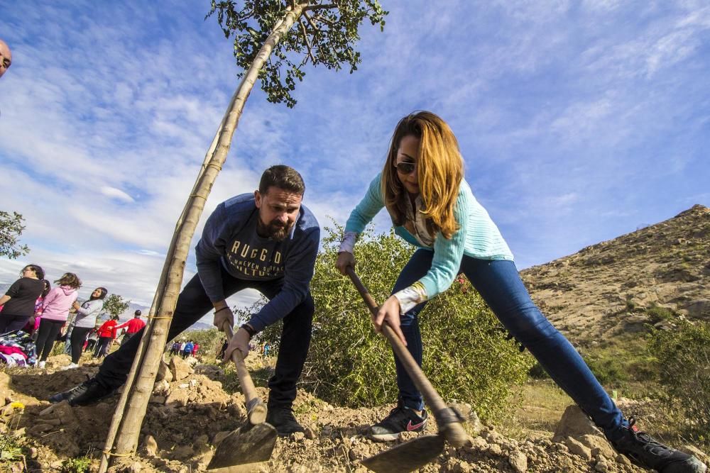 Proyecto para convertir la cantera de Cox en zona verde