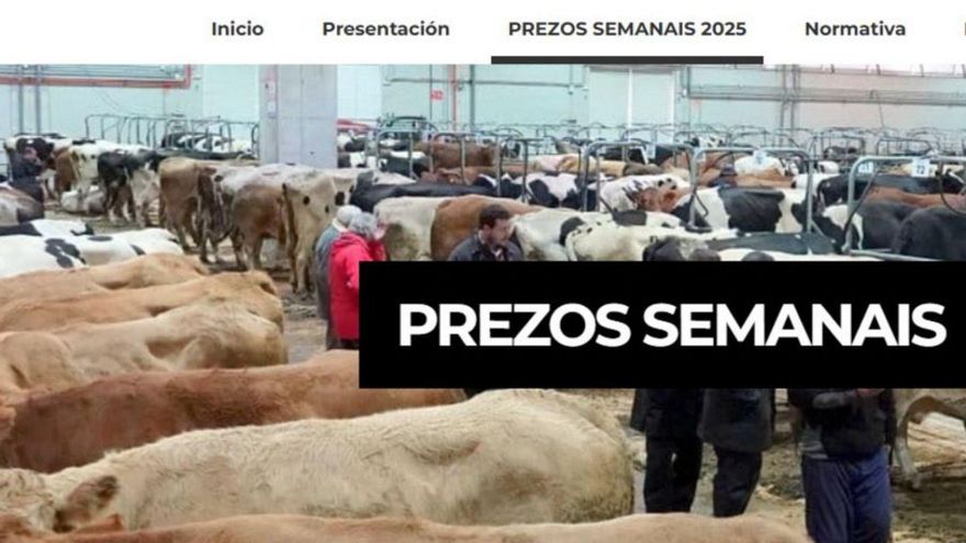 Los ‘hackers’ propusieron a la Semana Verde descargar un programa para revertir el ataque