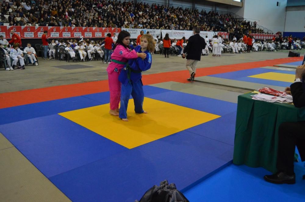 26ª edición de la Fiesta del Judo Infantil.