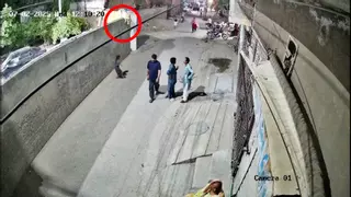 Un león doméstico ataca a una mujer y sus dos hijos en Pakistán