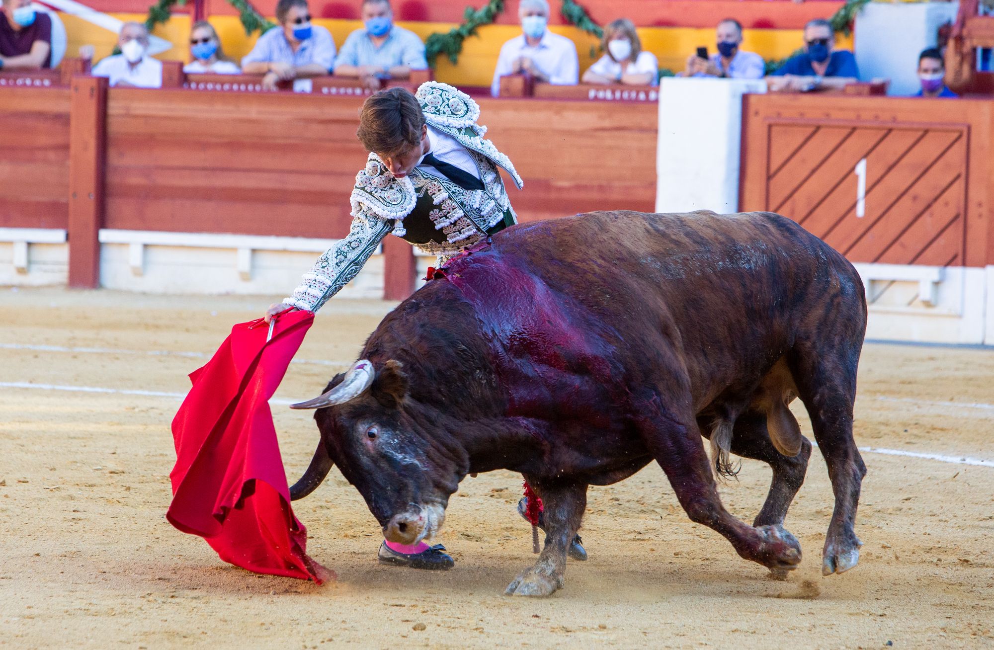 El Juli y Manzanares salen a hombros en la primera tarde de homenaje al maestro de Alicante