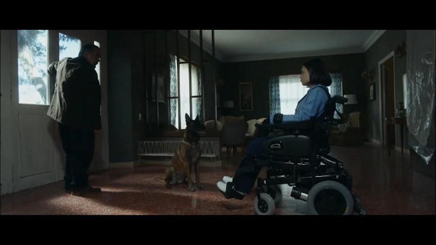 Esto es lo que podrás ver en el Festival de Cine Inclusivo de Vigo