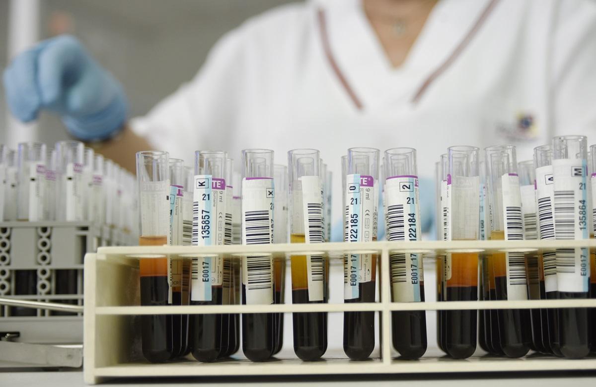 Tubos de sangre para su análisis en un laboratorio