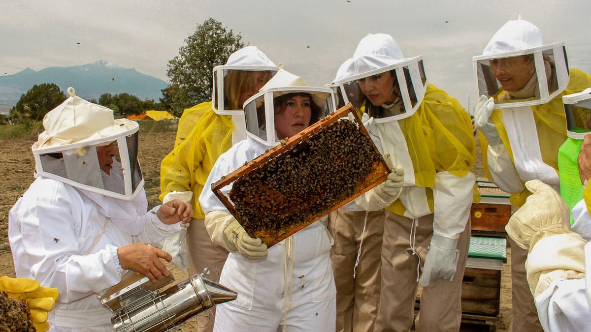 Apicultores en pleno trabajo