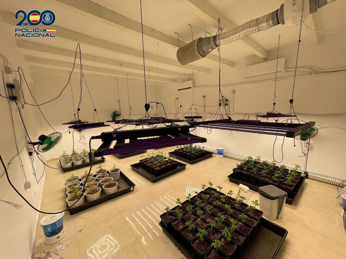 Desarticulan una organización criminal