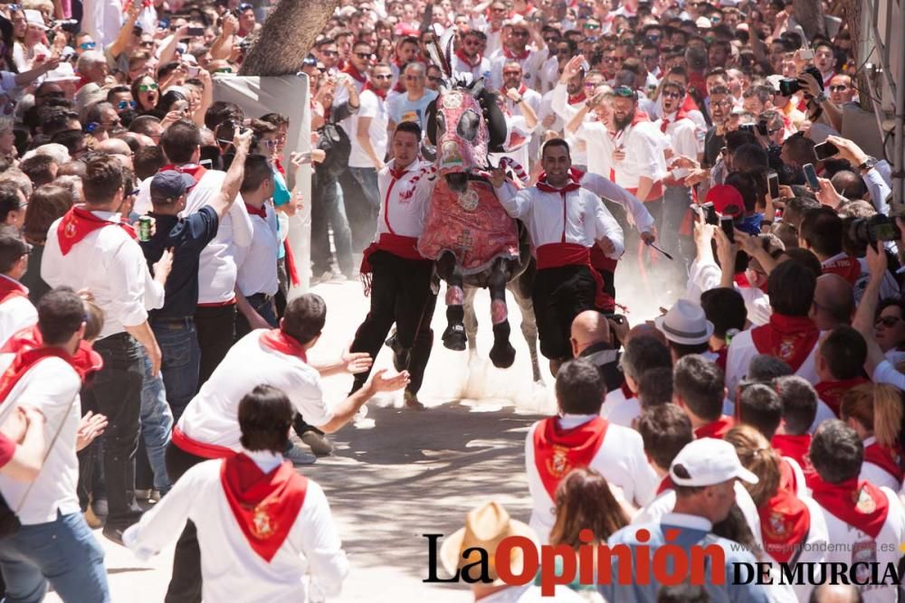 Carrera de los Caballos del Vino