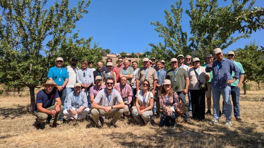 La producción de almendra caerá un 12,6% en la próxima campaña