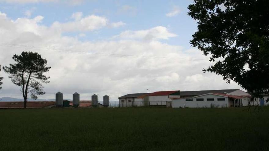 Vista de las granjas de porcino de Nudesa situadas en el lugar de O Castro, en A Baíña (Agolada).