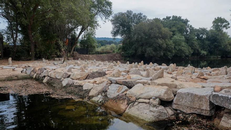 La Sociedade Galega de Historia Natural alerta sobre el impacto de la represa en especies como la anguila