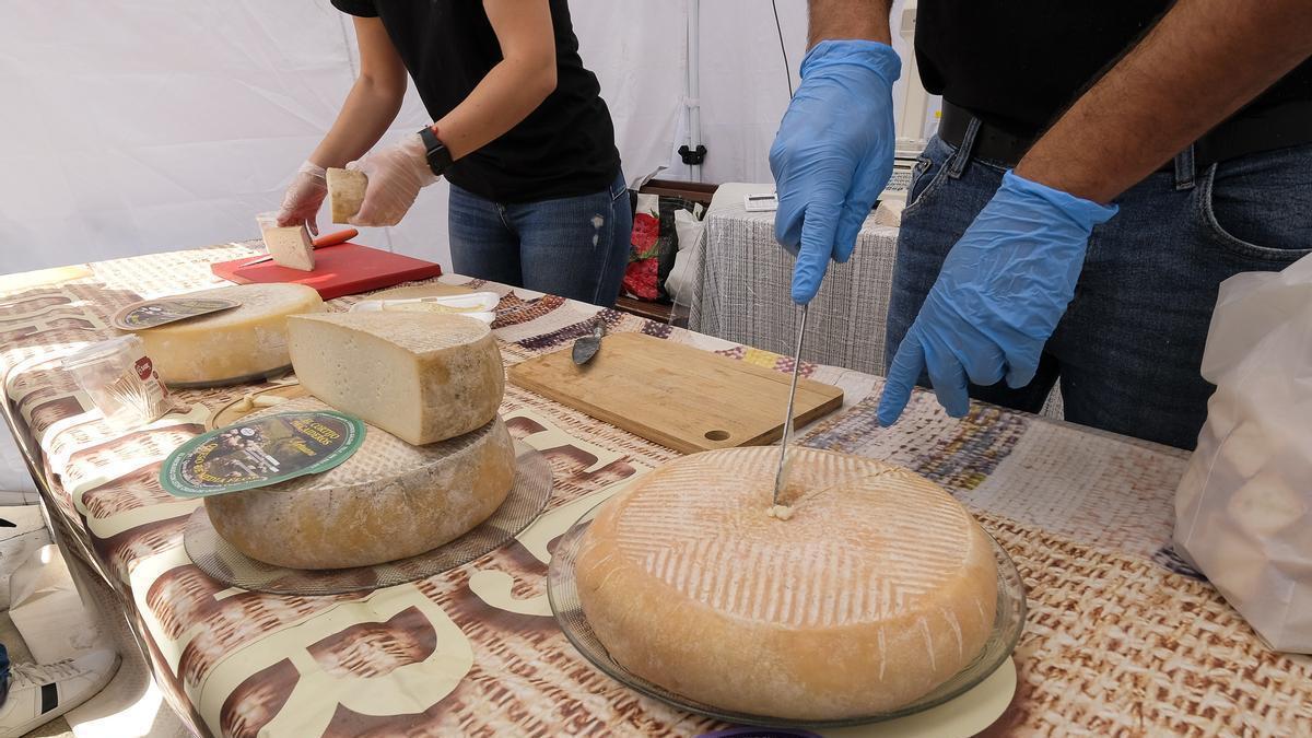 La Fiesta del Queso de Gáldar celebrará su jornada central el 12 de abril con catas, música y premios