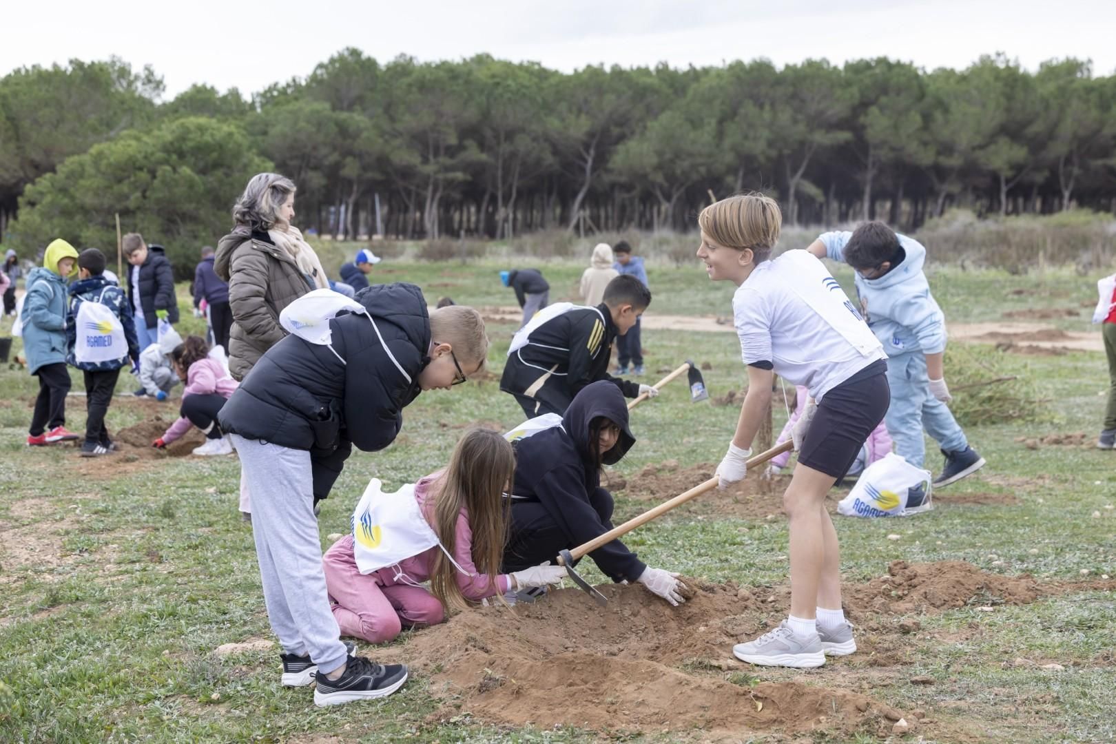 Jornada escolar plantación de especies autóctonas junto al parque natural de las lagunas de Torrevieja y La Mata