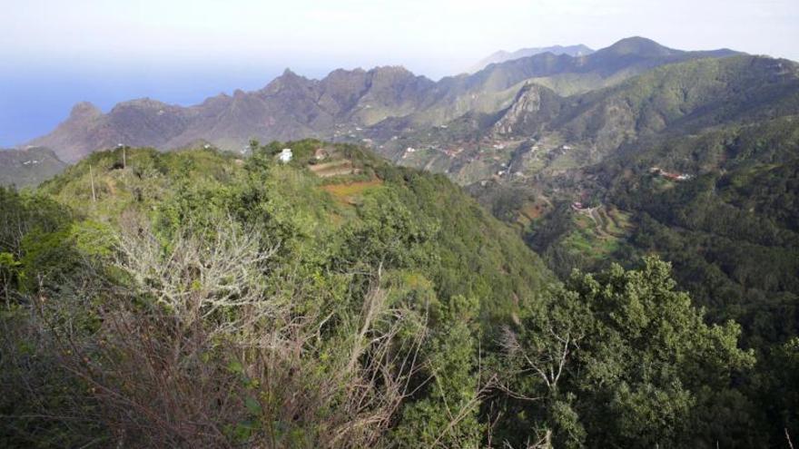 Casas de la Cumbre, el techo de Anaga