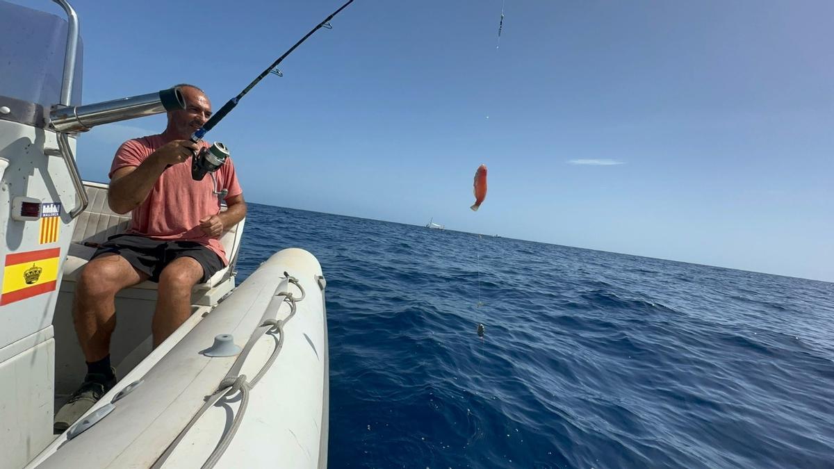 PESCA DEL RAOR | Los primeros 'raors', en imágenes PESCA DEL RAOR | Los primeros 'raors', en imágenes