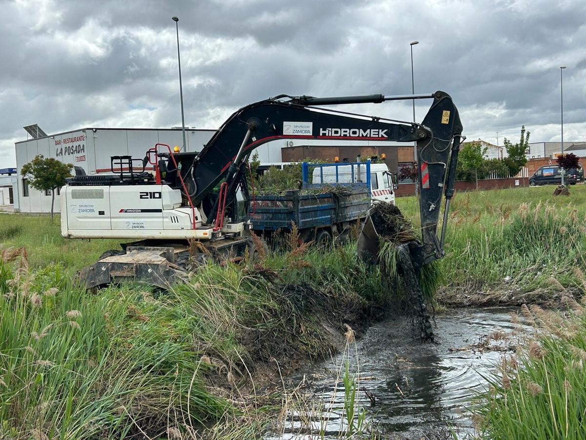 Trabajos de limpieza del caño.
