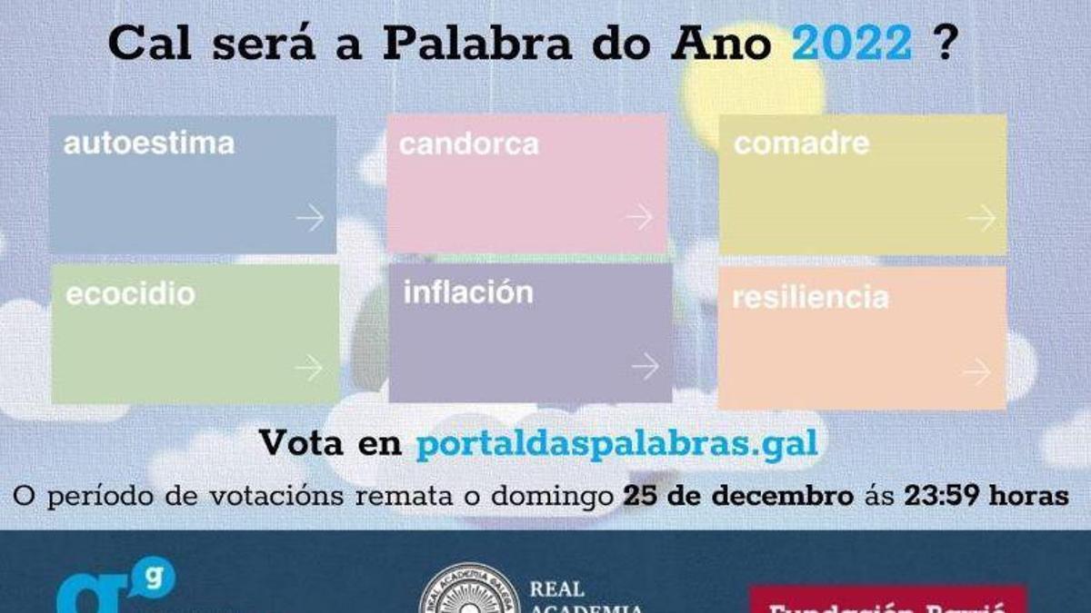 Campaña da RAG para votar a palabra do ano.    // RAG