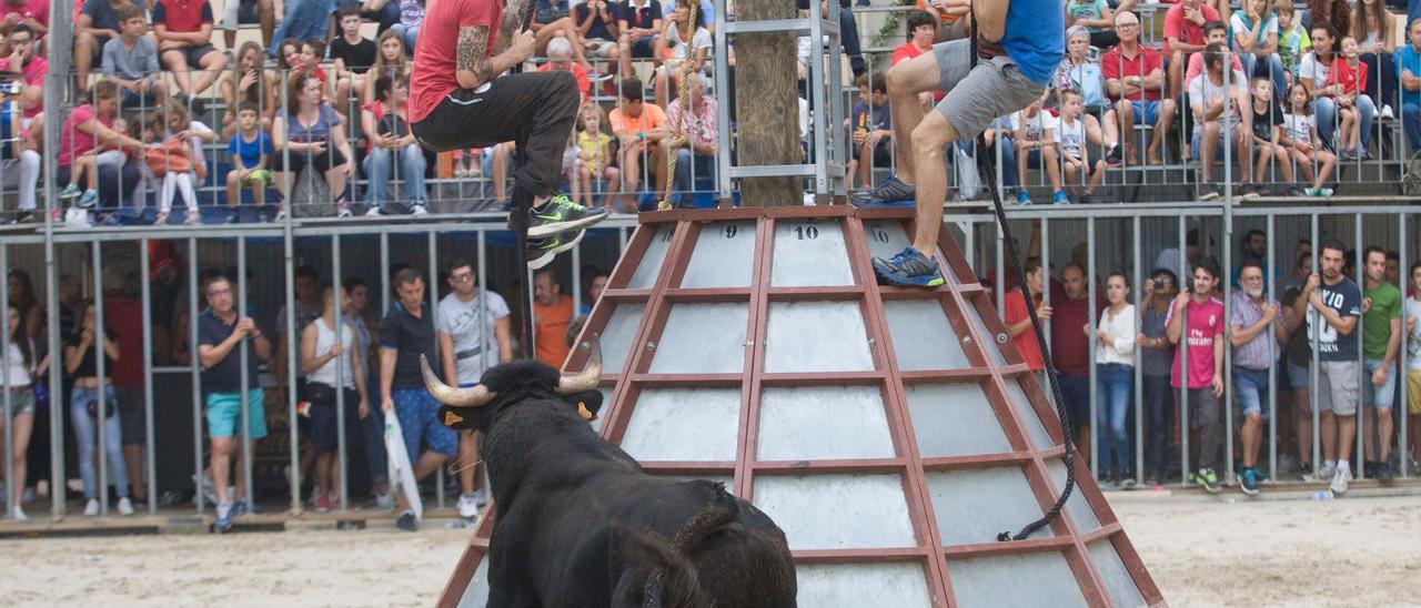 Foto de acrchivo de Toros en Canet