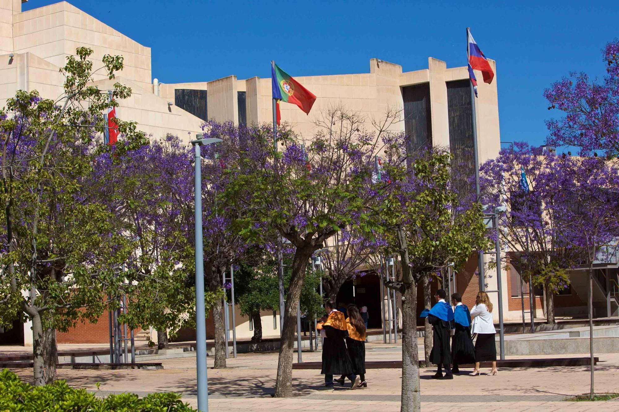La Universidad de Alicante (UA) clausura el curso con la investidura de 125 nuevos doctores