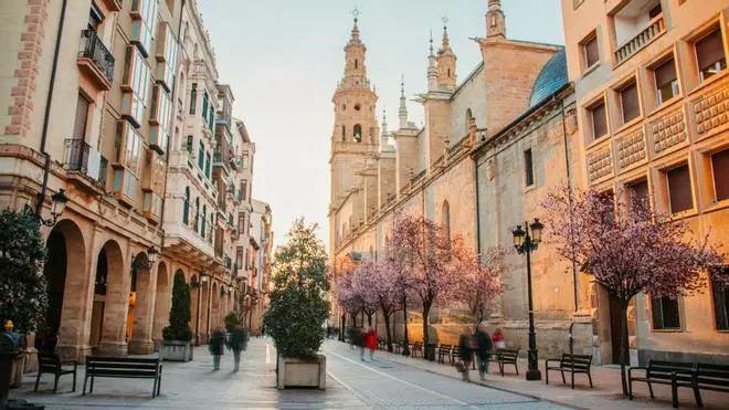 Los 7 bares donde se come la mejor tapa de España: cuestan menos de 2 euros y la consideran el secreto de los riojanos
