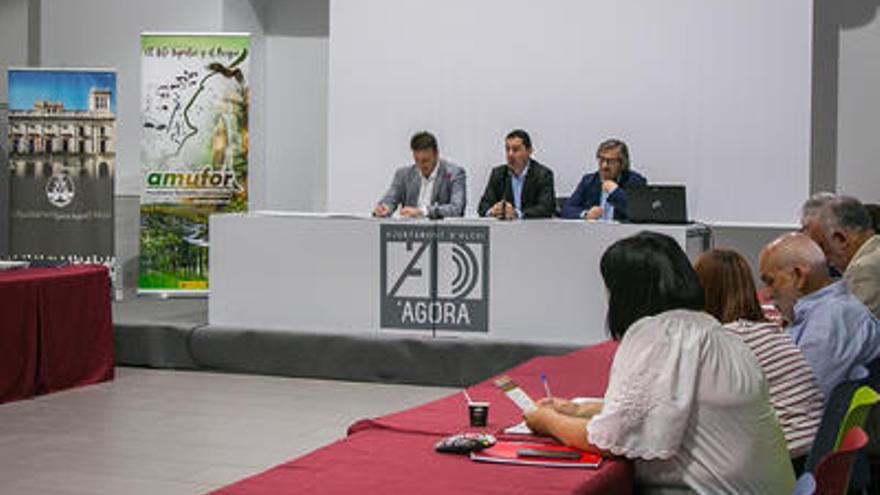 Presentación de las jornadas sobre arte rupestre.