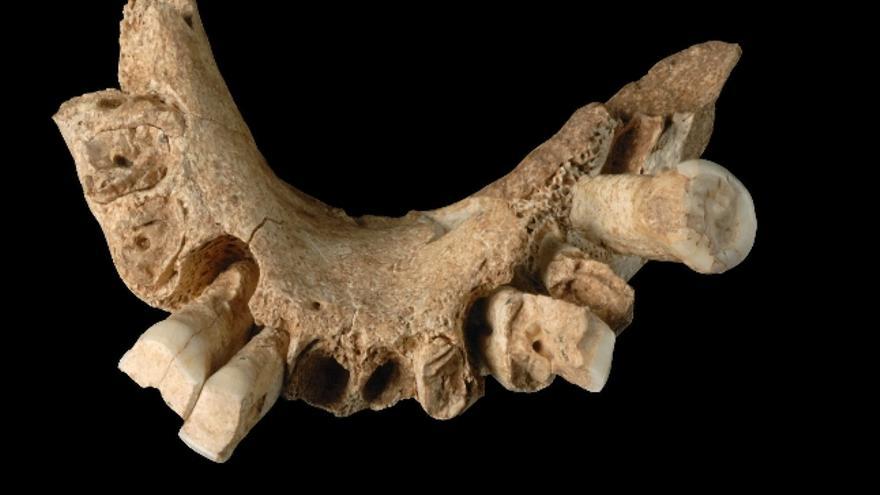 Los paleontólogos que dirigen el yacimiento burgalés de Atapuerca hacen públicas, en un artículo publicado en la revista científica &quot;Nature&quot;, las conclusiones de los últimos descubrimientos, con las que corroboran que el europeo más viejo de la historia vivió en la sierra burgalesa. El homínido vivió en la citada sierra hace 1,2 millones de años, una dato sobre el que los científicos ya estaban trabajando pero que ha corroborado el hallazgo de su mandíbula en la cueva denominada Sima del Elefante. En la foto vista superior de la mandíbula ATE 9-1.