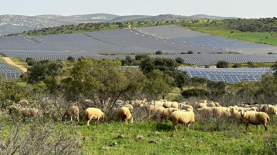 La Comunidad de Regantes de Casinos y Renovalia firman un acuerdo de colaboración para impulsar el desarrollo económico, social y medioambiental de la zona, y potenciar las sinergias entre ambos