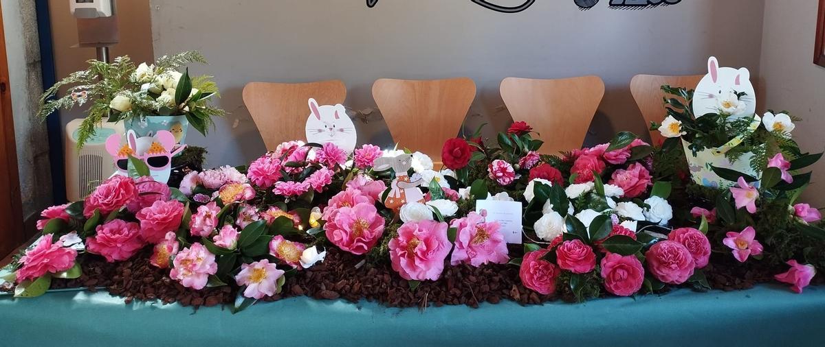Exposición de camelias na Pobra do Caramiñal.