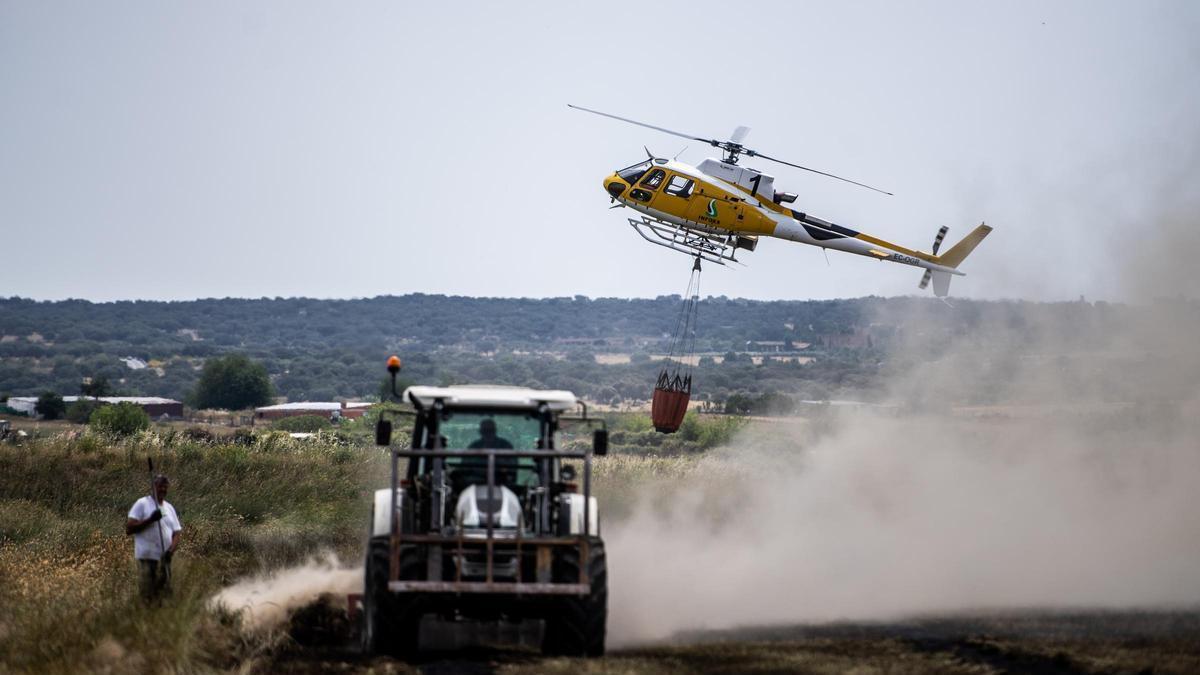 Incendio de pastos en el término municipal de Cáceres.