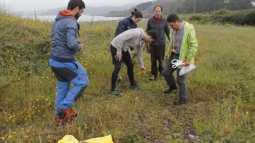 Algunas de las personas que estuvieron retirando guías de gramón de la zona de Balea. // Santos Álvarez