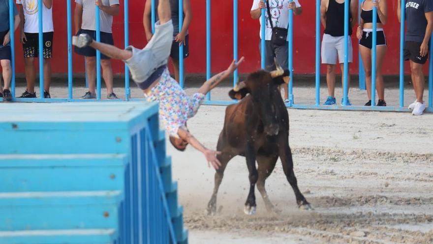 El herido por la cogida de una vaquilla en los encierros del Moralet recibe el alta