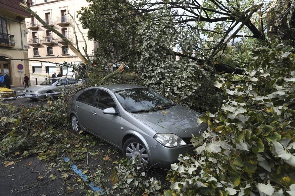 Daños del temporal en Avilés.