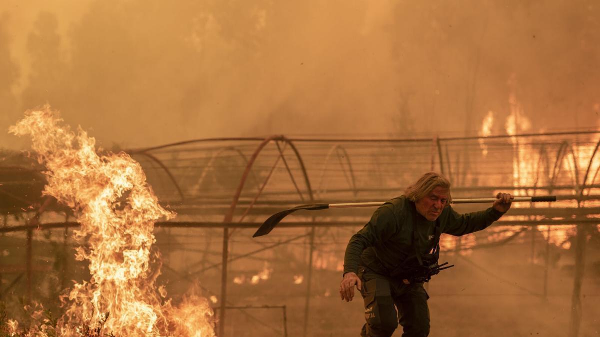 Un guardia forestal en las labores de extinción del incendio de Carballeda de Avia (Ourense) de 2025.