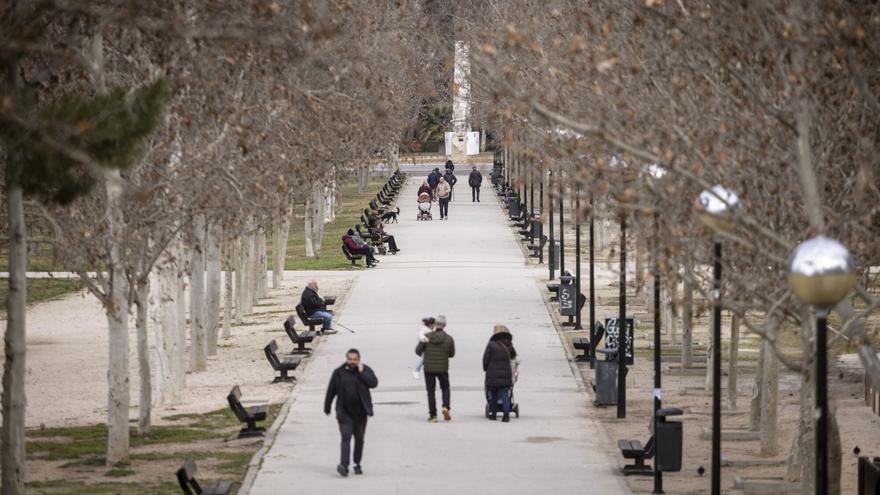 Las ratas que "campan a sus anchas" por el parque Tío Jorge de Zaragoza