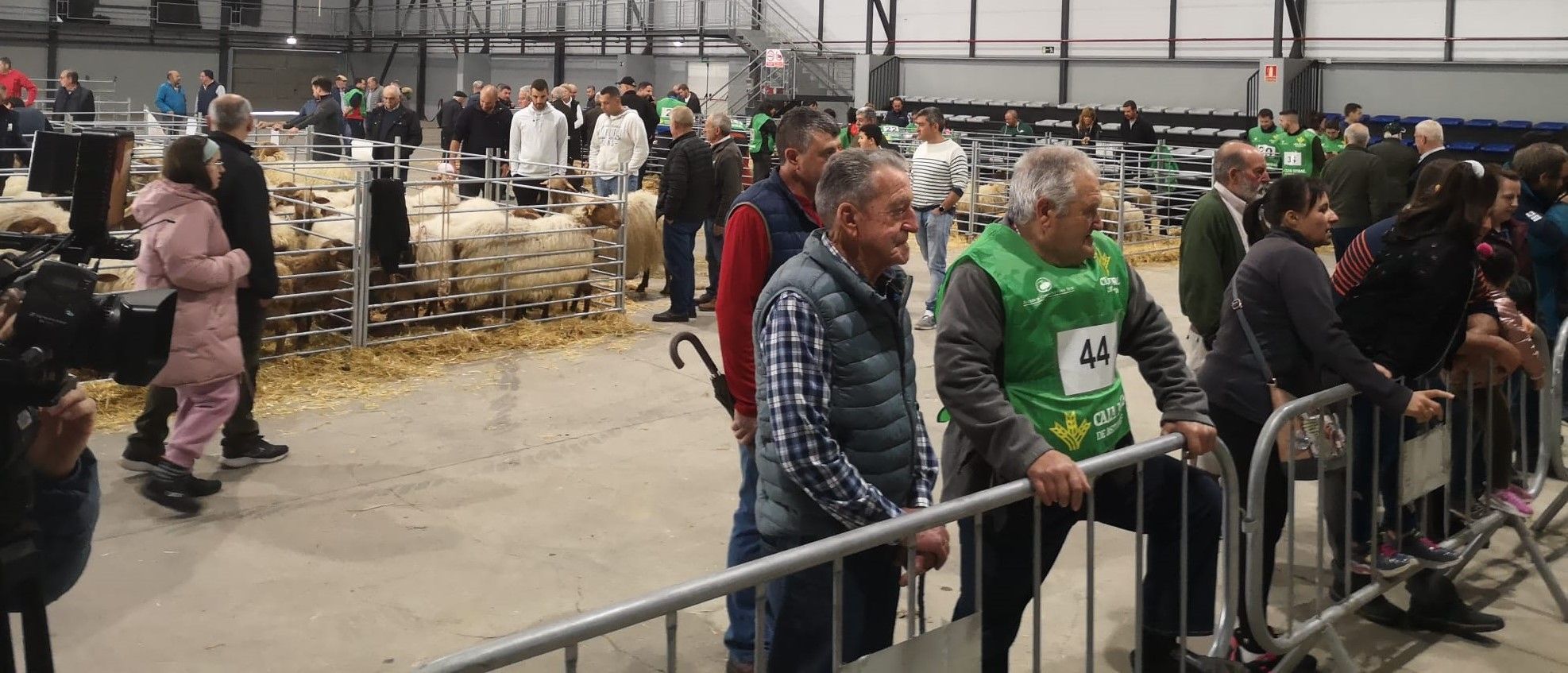 La feria de ganado ovino de Laviana reúne a 250 animales y 24 ganaderías