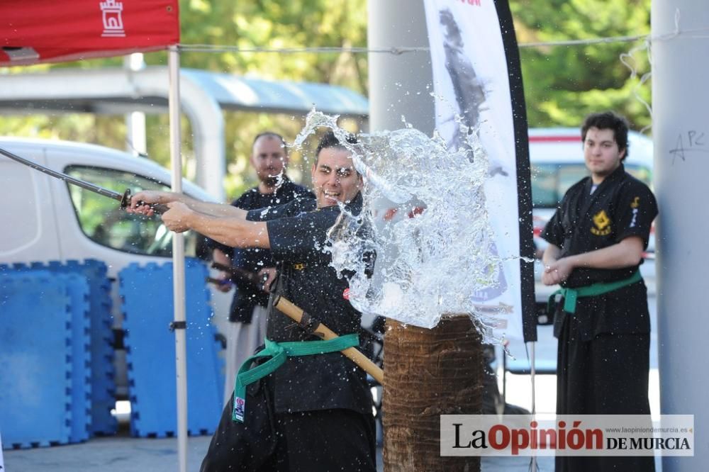 Muestra de las actividades del programa Redes