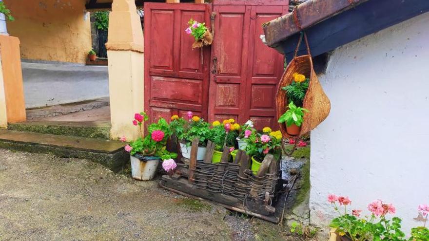 Un rincón del pueblo adornado con plantas.